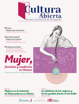 Miniatura revista cultura abierta: Mujer, feminista y académica en Oaxaca