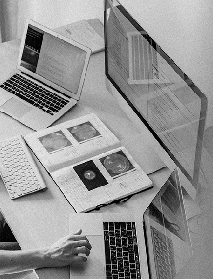 Enfoques de la investigación social en la formación universitaria